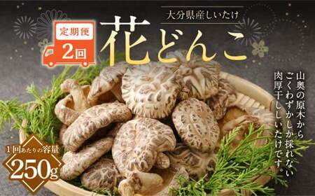 【2ヶ月定期便】大分産しいたけ花どんこ 250g 合計500g 乾燥椎茸 乾燥 しいたけ 干し椎茸 乾し椎茸 乾燥野菜 原木どんこ 花どんこ 大分県 九重町