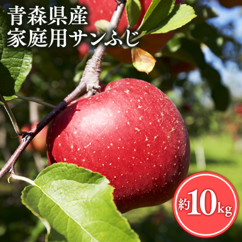 ≪2月発送≫【訳あり】家庭用 サンふじ10kg【青森県 平川市 丸勝木村商店】平川市産 青森りんご りんご リンゴ 林檎 ふじ 訳あり 家庭 わけあり お取り寄せ 先行予約 果物 くだもの フルーツ