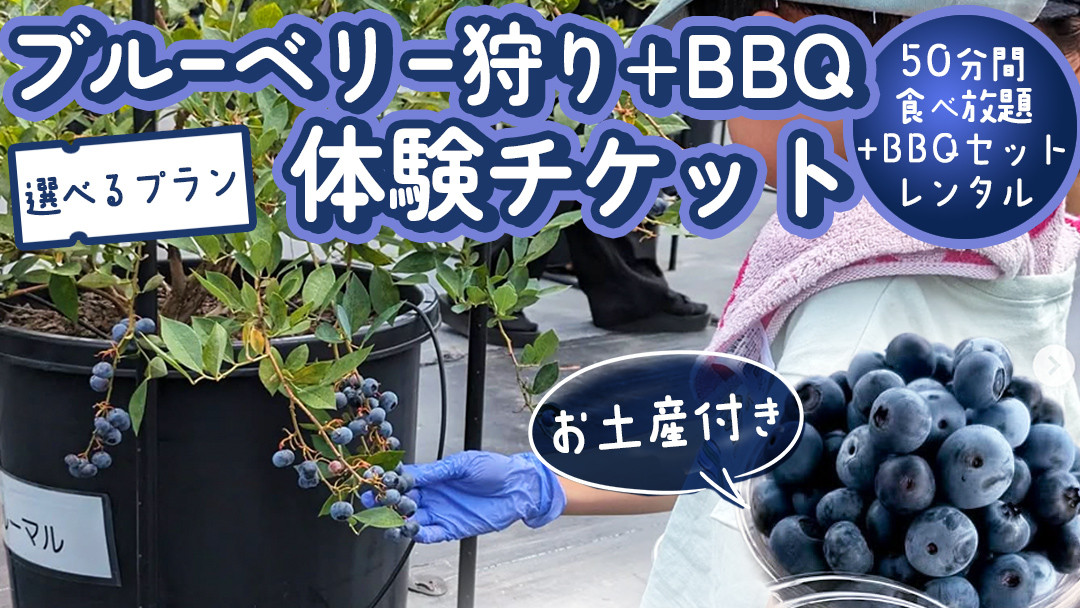 
            【寄附受付は2025年7月29日まで】 ブルーベリー狩り ＋ DAYキャンプ 体験チケット 《レンタルBBQ道具＋お土産付き》 ブルーベリー ベリー 食べ比べ  食べ放題 収穫 収穫体験 キャンプ BBQ バーベキュー 肉 旅行 レンタル 体験 チケット 招待券 レジャー 観光 親子 ファミリー シニア ふれあい お土産 おみやげ 持ち帰り テイクアウト 多品種 果実 果物 [DZ012sa00]
          