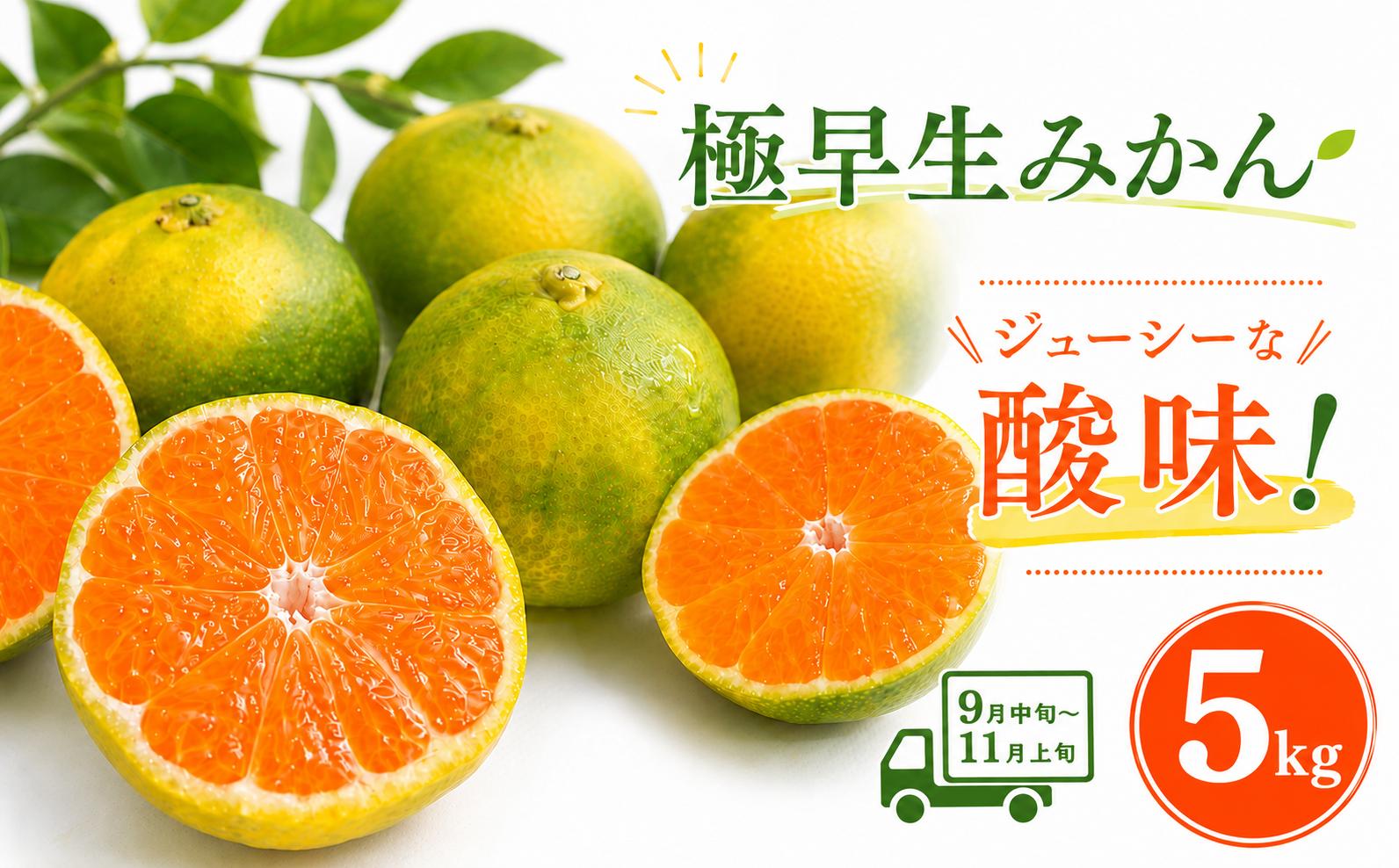 
                  【先行予約】極早生みかん 5kg | 温州みかん みかん 蜜柑 ミカン 柑橘 緑のみかん 酸っぱい 酸味 家庭用 秋の味覚 旬 ごくわせ フルーツ 果物 くだもの 先行予約 柑橘類 先行予約柑橘類 産地直送 数量限定 期間限定 国産 高知県 室戸市
                
