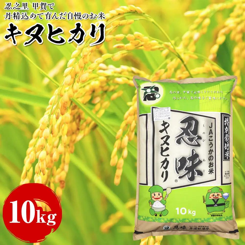 キヌヒカリ 10kg 甲賀で丹精込めて育んだ自慢のお米