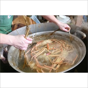冬の旬松葉かに（山陰沖）京丹後の地元魚屋　特選茹で松葉かに　１２００ｇ以上１匹