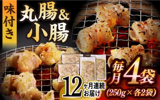【全12回定期便】【塩だれ】 九州産和牛 ホルモン 2種 計1kg（ 小腸 250g×2袋・ 丸腸 250g×2袋） 長与町/岩永ホルモン [EAX157] ホルモン焼き 国産 牛肉 ホルモン ミックス 小分け 味付き 冷凍 焼肉 焼き肉 和牛 塩 しお 牛 定期便 ていきびん 定期