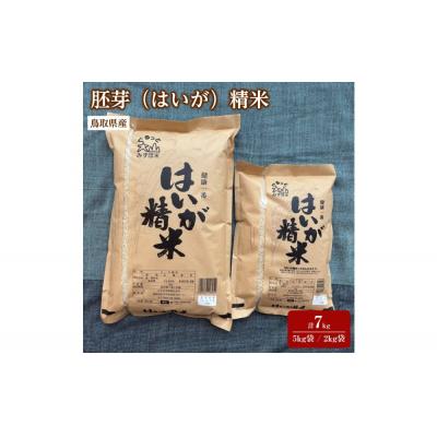 ふるさと納税 境港市 <7〜10月配送不可>鳥取県産胚芽米(計7kg・5kg袋 / 2kg袋)