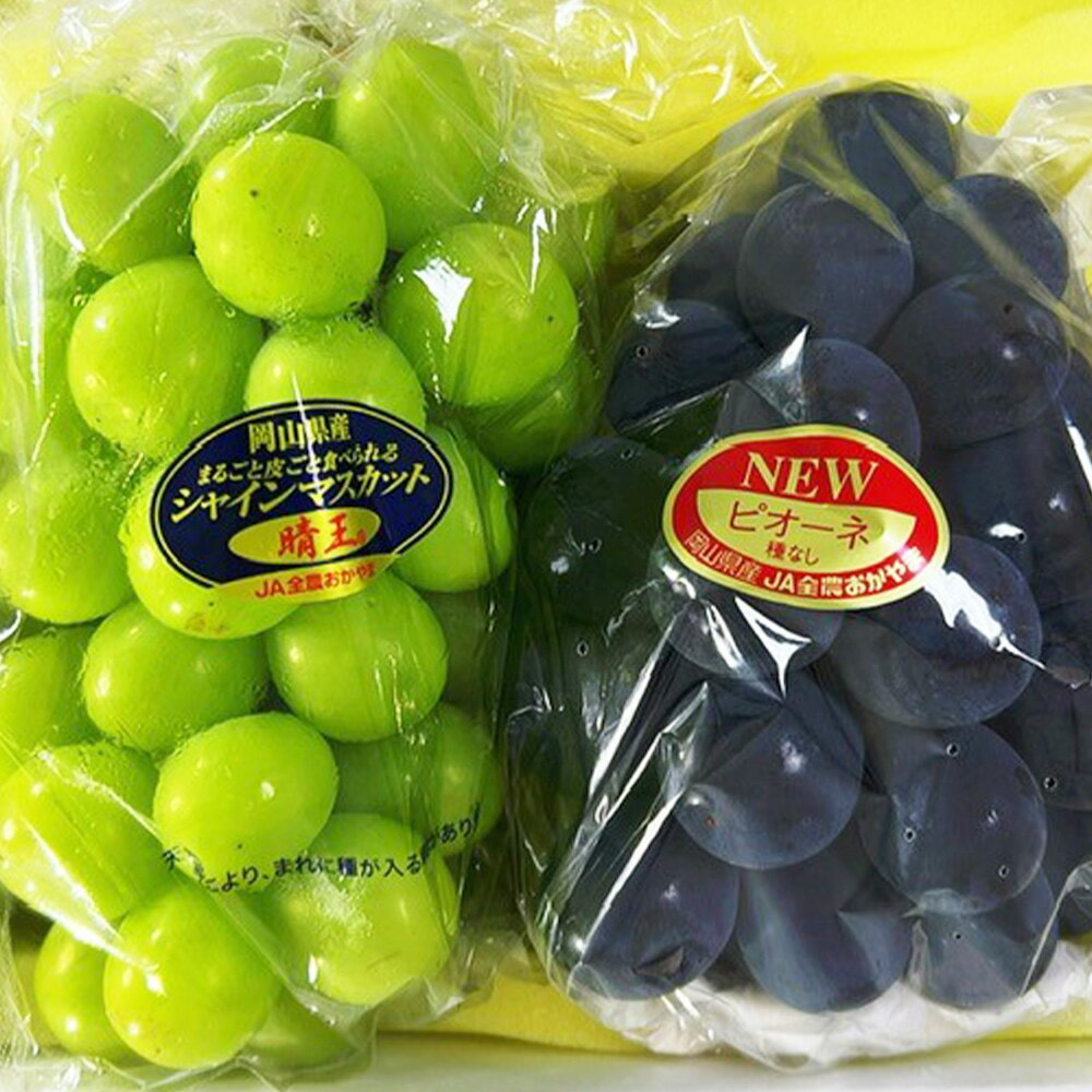 【ふるさと納税】先行予約 果物詰合せ ニュー ピオーネ 1房 ( 1房470g以上 ) シャインマスカット 晴王 1房 ( 1房470g以上 ) 化粧箱入り | ぶどう 岡山県産 国産 フルーツ ギフト 贈り物 セット 詰め合わせ くだもの 甘い上品 【2025年8月下旬～10月上旬 発送予定】