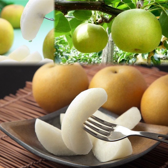 
            【'26先行予約】 二十世紀梨と旬の赤梨セット 4kg ( 品種はおまかせ )　[215-W15]
          