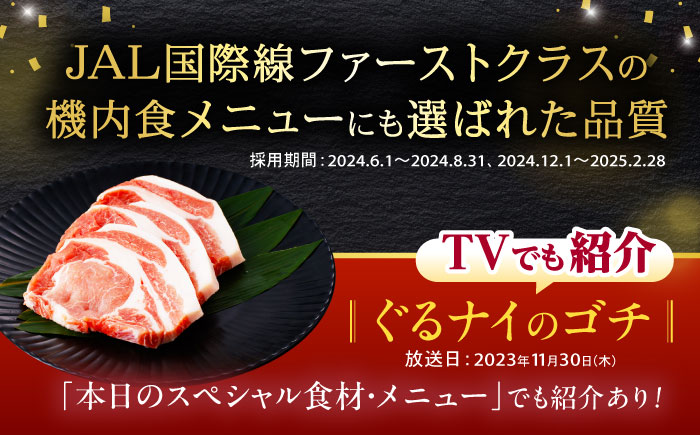 【6回定期便】諫美豚おすすめバラエティセット3kg / 諫美豚 豚肉 肩ロース ステーキ モモ 切り落とし ハンバーグ ロースステーキ / 諫早市 / 株式会社土井農場 [AHAD005]
