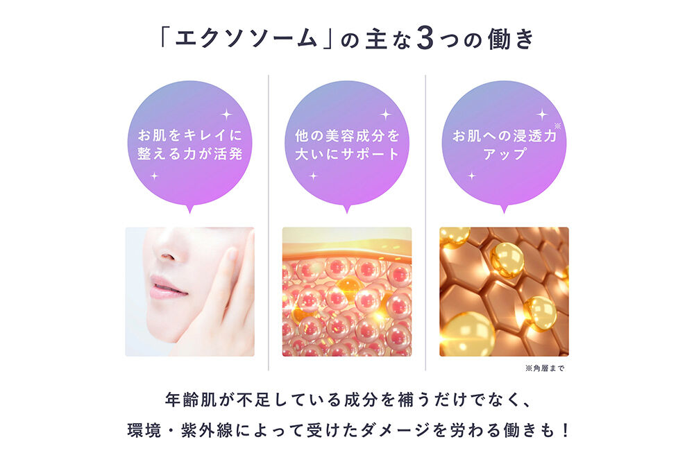 セルコード セラム エクソリッチEX（30ml） [ビタミンC セラミド EGF FGF 毛穴 ハリ 保湿 小ジワ くすみ エイジングケア]