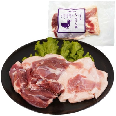 【岩手三陸たのはた鴨】　もも肉　1枚パック×3パック　限定300セット!【配送不可地域：離島】【1637775】