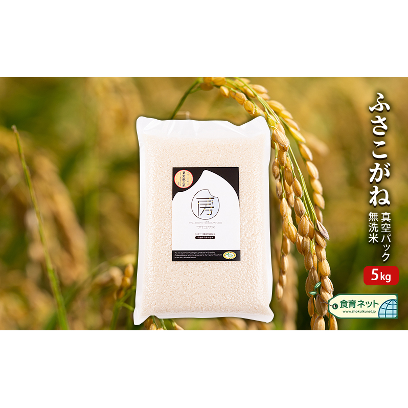 ふさこがね　真空パック　5キロ　無洗米 お米 銘柄米 ご飯 おにぎり お弁当 和食 白米 精米 
