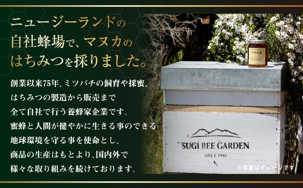 杉養蜂園 プロポリス入り マヌカ蜜 500g はちみつ 蜂蜜