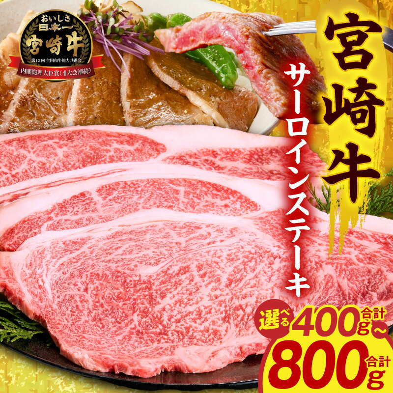 【ふるさと納税】【選べる内容量】宮崎牛 サーロインステーキ サーロイン ステーキ 肉 牛肉 お肉 精肉 牛 国産牛 ブランド牛 黒毛和牛 和牛 国産 宮崎県産 小分け パック 冷凍 贈答 贈り物 ギフト お歳暮 グルメ お取り寄せ 人気 おすすめ 焼肉 BBQ アウトドア キャンプ 宮崎