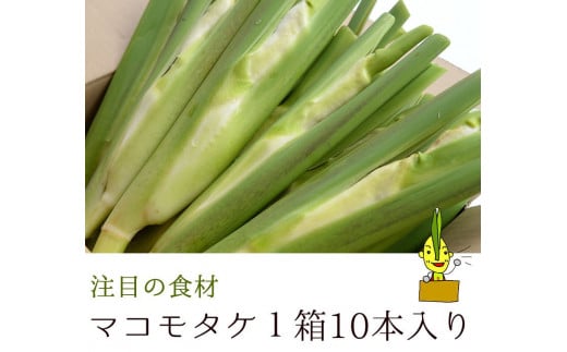 マコモタケ1箱10月上旬～11月下旬限定（森のともだち農園玉川町） [LB00620]