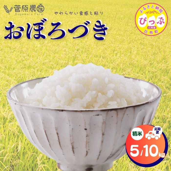 【ふるさと納税】令和7年度産　おぼろづき 精米【菅原農産】選べる容量 5kg 10kg　米 お米 北海道米 国産 白米 コメ 北海道 比布町 ぴっぷ