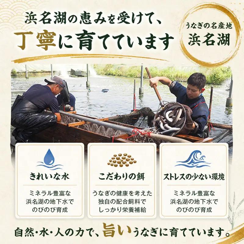 うなぎ 訳あり 国産 蒲焼き 3尾 計270g 浜名湖産 うなぎ