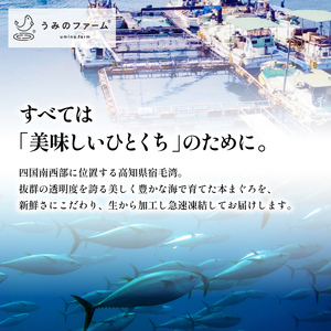 本マグロ 3種セット 1kg まぐろ