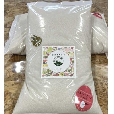 ふるさと納税 広野町 【令和7年産】ミルキークイーン 10kg 福島県広野町産 5kg×2袋 精米