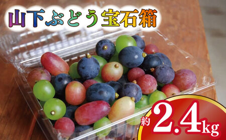 ぶどう 詰め合わせ 粒 600g 4パック 計2.4kg 葡萄 2025年 発送 山下農園 ぶどう ぶどう ぶどう