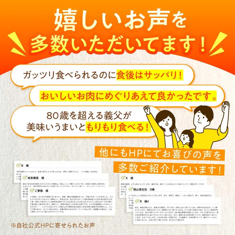 【6回定期便】コロッケ・メンチカツセット 藤井ファーム[AWAF023]