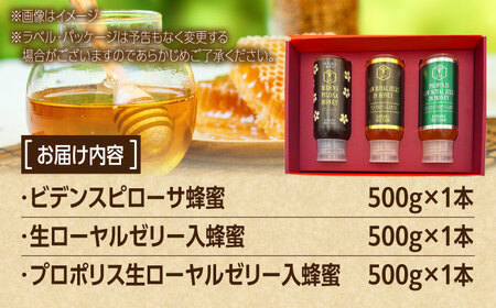 蜂蜜 コハマのハチミツ 500g 3本セット  BCAQ005
