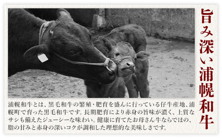 北海道産 黒毛和牛 うらほろ完熟ビーフ 600g 角切り カレー シチュー 熟成 浦幌