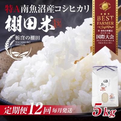ふるさと納税 南魚沼市 【毎月定期便】【産地限定 棚田米】 新潟県 南魚沼 コシヒカリ 5kg 精米 日熊の米 棚田全12回
