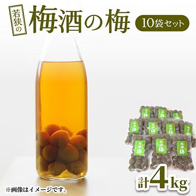 ふるさと納税 若狭町 梅酒の梅　10袋セット　(梅酒に入れて、おやつに、おつまみに、煮詰めてジャムに)