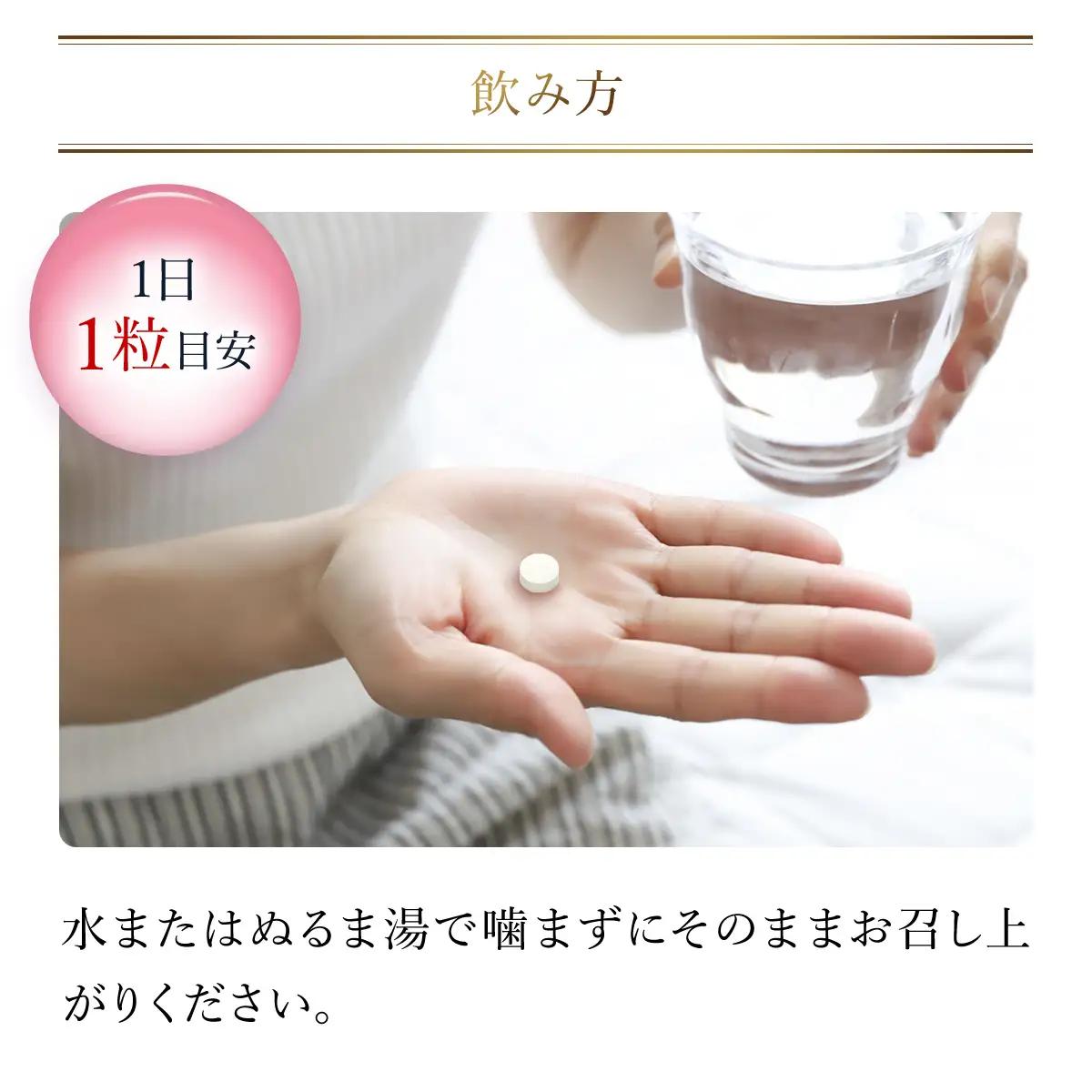 75913_DHC乳酸菌AL(エーエル)3種のバリア菌 30日分 2個セット（60日分） MBB028