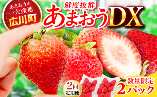 【2回定期便】博多あまおう 1ケース（270g×2P） いちご 苺 フルーツ 果物 くだもの イチゴ ふるーつ 旬 福岡県産 小分け 広川町 / JAふくおか八女農産物直売所どろや [AFAB018]