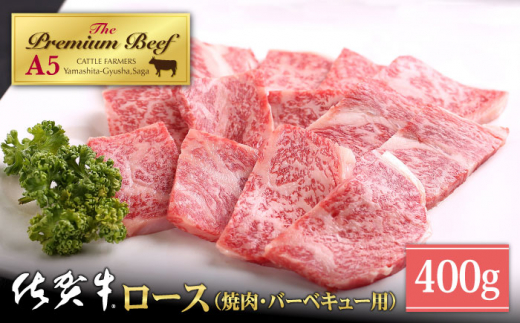 
【霜降り A5ランク】佐賀牛 ロース 焼肉用 400g【山下牛舎】 [HAD050]
