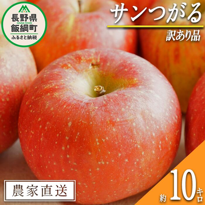 【ふるさと納税】 りんご サンつがる 訳あり 10kg 中村ファーム 沖縄県への配送不可 令和7年度収穫分 長野県 飯綱町 〔 傷 不揃い わけあり リンゴ 林檎 果物 フルーツ 信州 長野 18000円 予約 農家直送 〕発送時期：2025年9月上旬〜2025年9月中旬