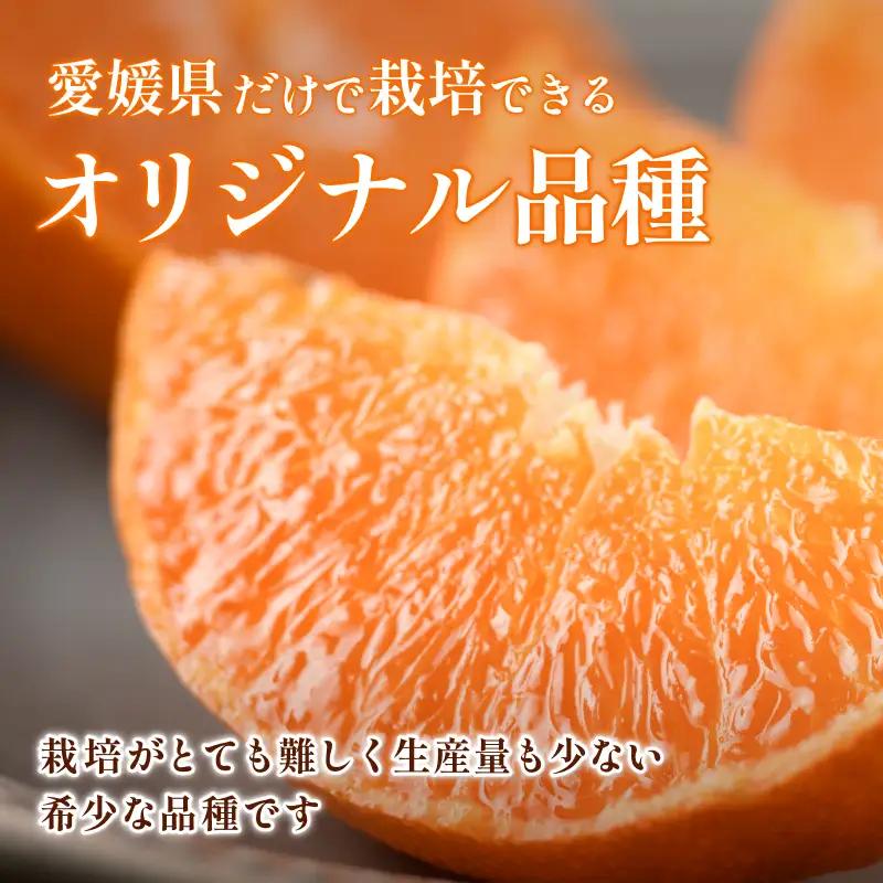【先行予約】甘平（家庭用）レギュラー箱 約5kg 