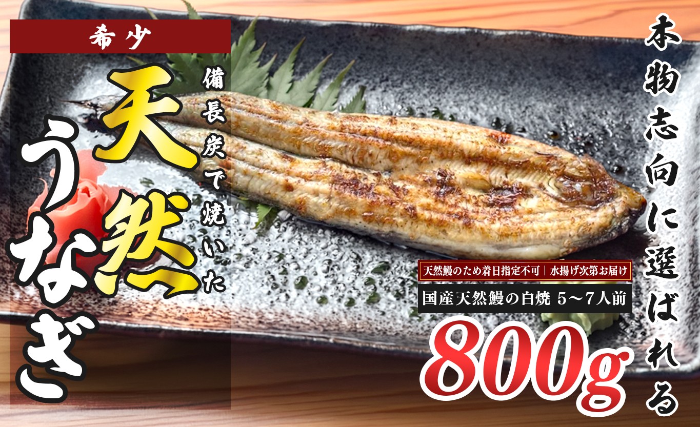 
                  希少 天然 鰻 白焼き 約5～7人前 800g 国産 四万十川 うなぎ ウナギ  白焼 ウナギ白焼 鰻白焼き うな重 備長炭 炭火 炭火焼き 冷凍 湯せん 小分け 贈答 お取り寄せ ギフトご褒美 簡単 土用の丑の日 高知県 大月町
                