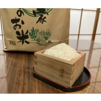 ふるさと納税 ふじみ野市 コシヒカリ 5kg 精米【埼玉県ふじみ野市産】 |  | 01