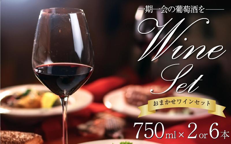 
            ワイン おまかせ 750ml 選べる 2本 6本セット Natan 葡萄酒 醸造所 酒 国産 国産ワイン 国産 プレゼント 贈答用 ギフト 記念 グルメ 定期便 送料無料 徳島県 三好市 みよし ナタン NATAN  
          