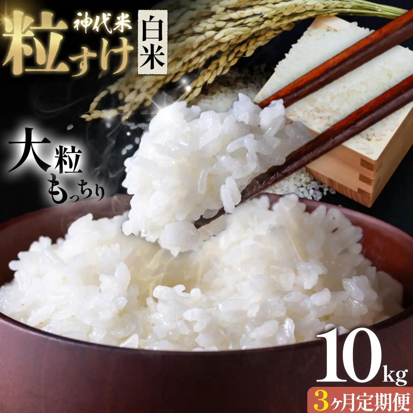【3ヶ月定期便】米 白米 神代米 粒すけ ぜん兵衛。