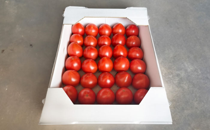 広島県江田島産 キングトマト 28-35玉入 2kg×1箱 【12月中旬より発送】 トマト 完熟 野菜 国産 中玉 ミディトマト 濃厚 甘い 江田島市/ひろしま農業協同組合江田島アグリセンター [XC