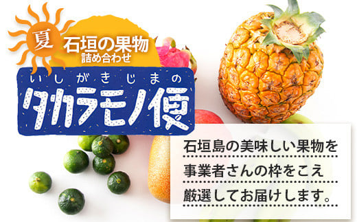 《2027年夏に順次発送予定》石垣島の夏「果物」詰め合わせ～夏のタカラモノ果物便～【 産地直送 沖縄 石垣 石垣島 くだもの トロピカルフルーツ 果物 南国 フルーツ 詰め合わせ フルーツ便 】SH-