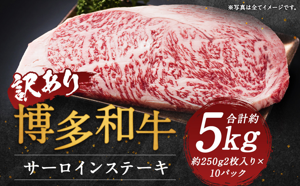 博多和牛サーロインステーキセット 約5kg(約250g2枚入り×10パック)