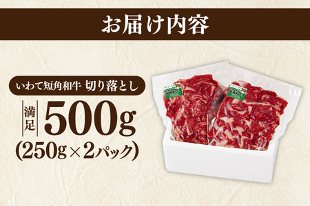 ＼9ヶ月連続 定期便／ 切り落とし 赤身 肉 牛肉 いわて 短角和牛 500g (総計 4,500g) 小分けパック 真空冷凍 | 牛肉 肉 赤身 短角 和牛 国産牛 ブランド牛 切り落し 大容量 牛
