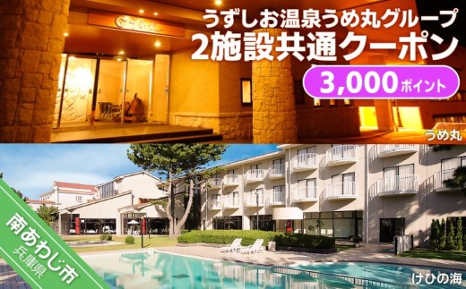 うずしお温泉うめ丸グループ【3施設共通クーポン】3000P