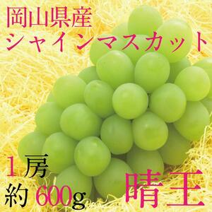 [HS]9月・10月発送 シャインマスカット 晴王 1房 約600g ｜ シャインマスカット