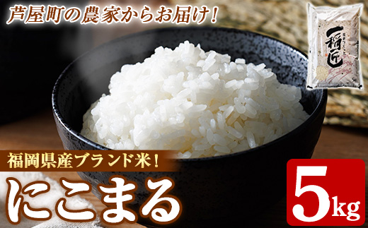 ≪令和8年産≫福岡県産 にこまる 白米(計5kg) 白米 米 お米 おこめ ごはん にこまる ご飯 常温 福岡県産 ブランド米 常温 常温保存 as32-002