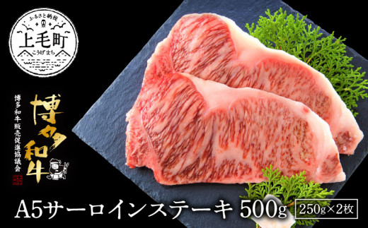 博多和牛A5サーロインステーキ【厳選部位】500g（250g×2枚）KMP0203