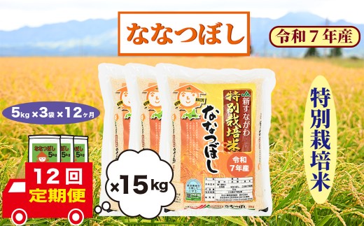 【定期便12回】北海道奈井江町　特別栽培米　ななつぼし　15kg