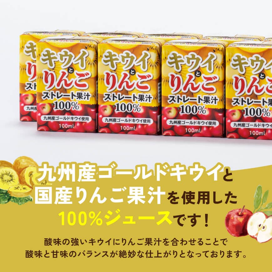 サンAキウイとりんごジュース100％　100ml紙パック×12本 【 飲料 ジュース キウイ りんご リンゴ 九州産 紙パック 送料無料 】