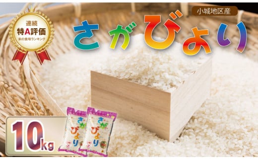 佐賀ブランド米「さがびより」10kg（５㎏×2） さかぐち