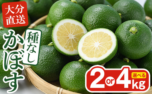 
                  ＜容量を選べる！＞おもとの丘の種なしかぼす (約2kg or 4kg) 柑橘 かんきつ カボス 種無し 期間限定【111300800・111300900】【未来農林】
                