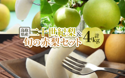 二十世紀梨と旬の赤梨セット 4kg【配送不可地域：離島・北海道・沖縄県】