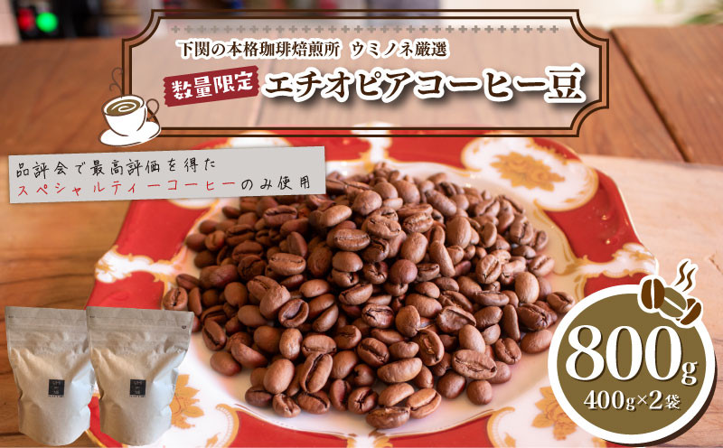 
            訳あり コーヒー豆 800g ( 400g × 2袋 )  エチオピア 数量限定 選べる 煎り方 定期便 ( コーヒー 珈琲 出荷当日 自家焙煎 スペシャルティコーヒー ホットコーヒー アイスコーヒー コーヒータイム こだわりコーヒー エチオピアコーヒー 飲料 日指定可 ) ウミノネコーヒー 下関 山口
          